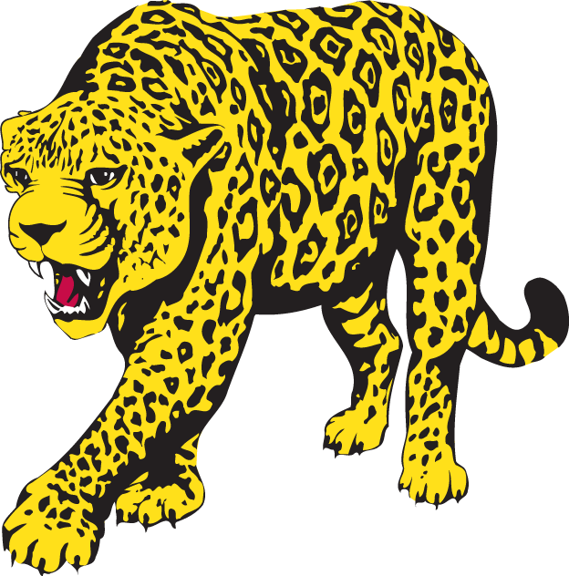 South Alabama Jaguars 1993-2007 Partial Logo DIY iron on transfer (heat transfer)